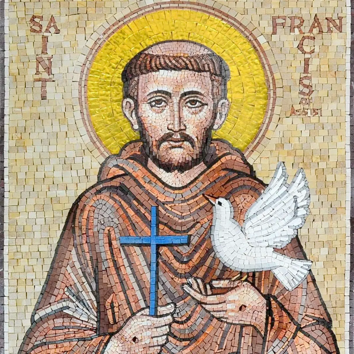 San Francesco d'Assisi foto